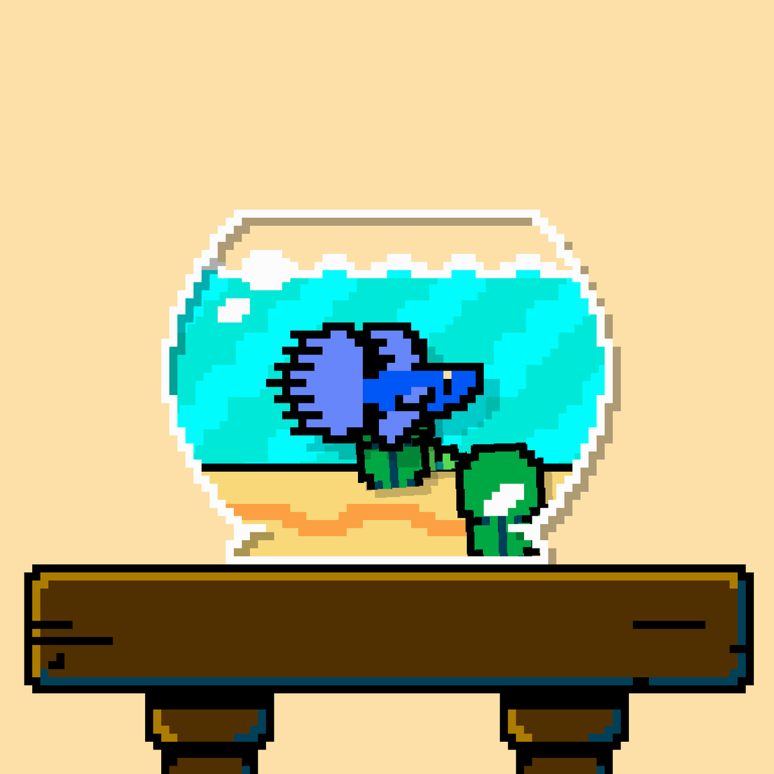 betta fish #595