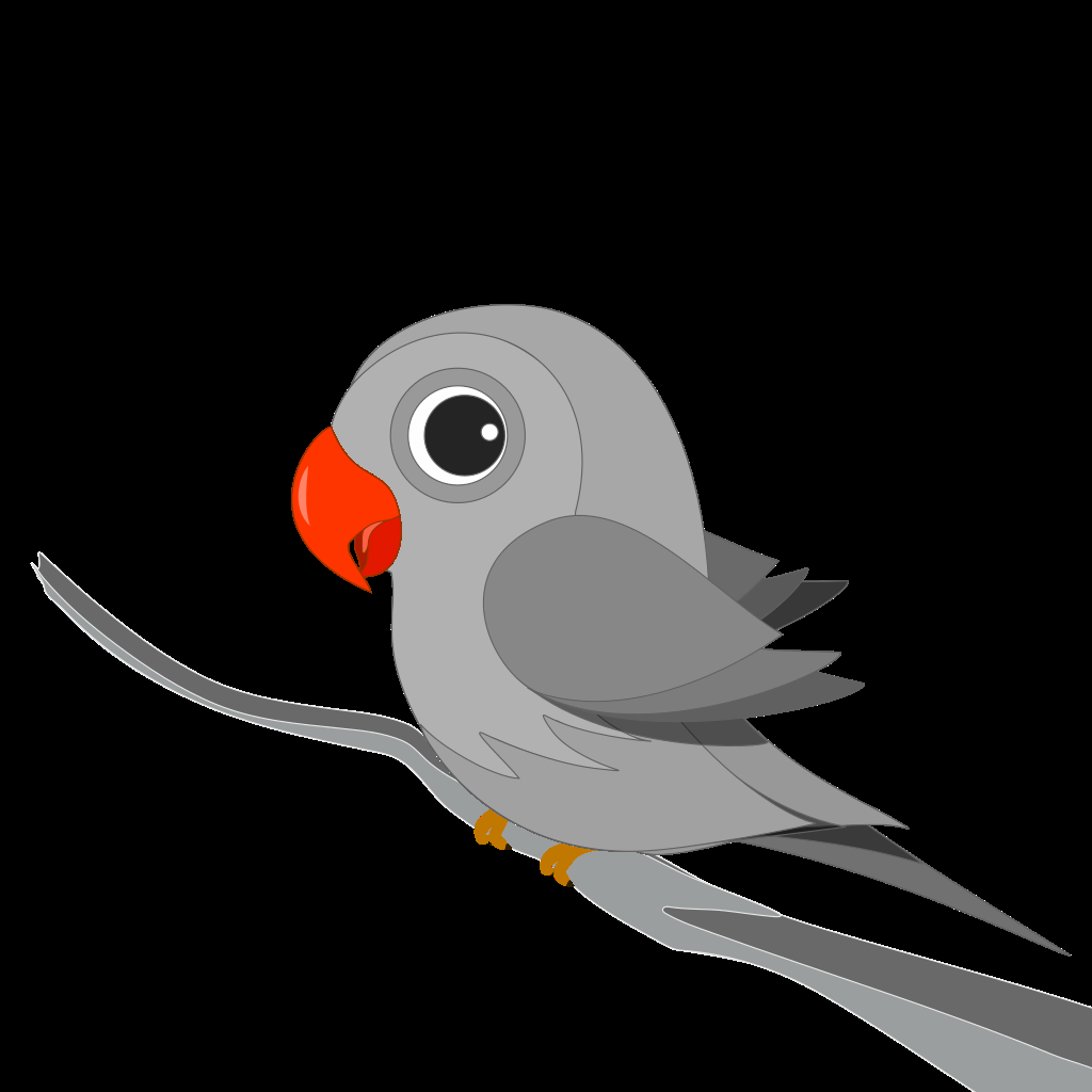 Parrot #48
