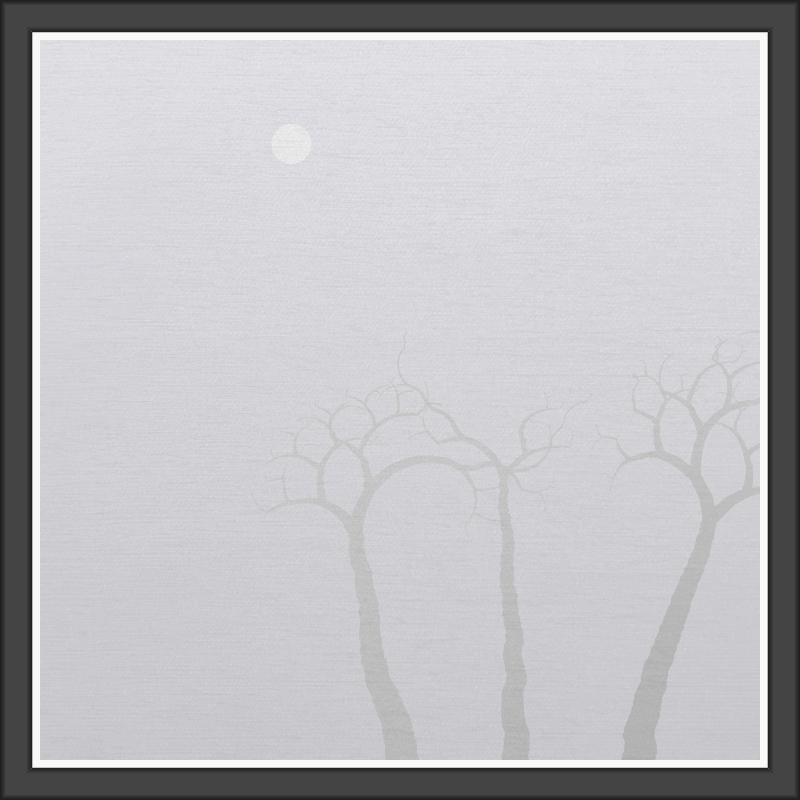 The Foggy Trees #97