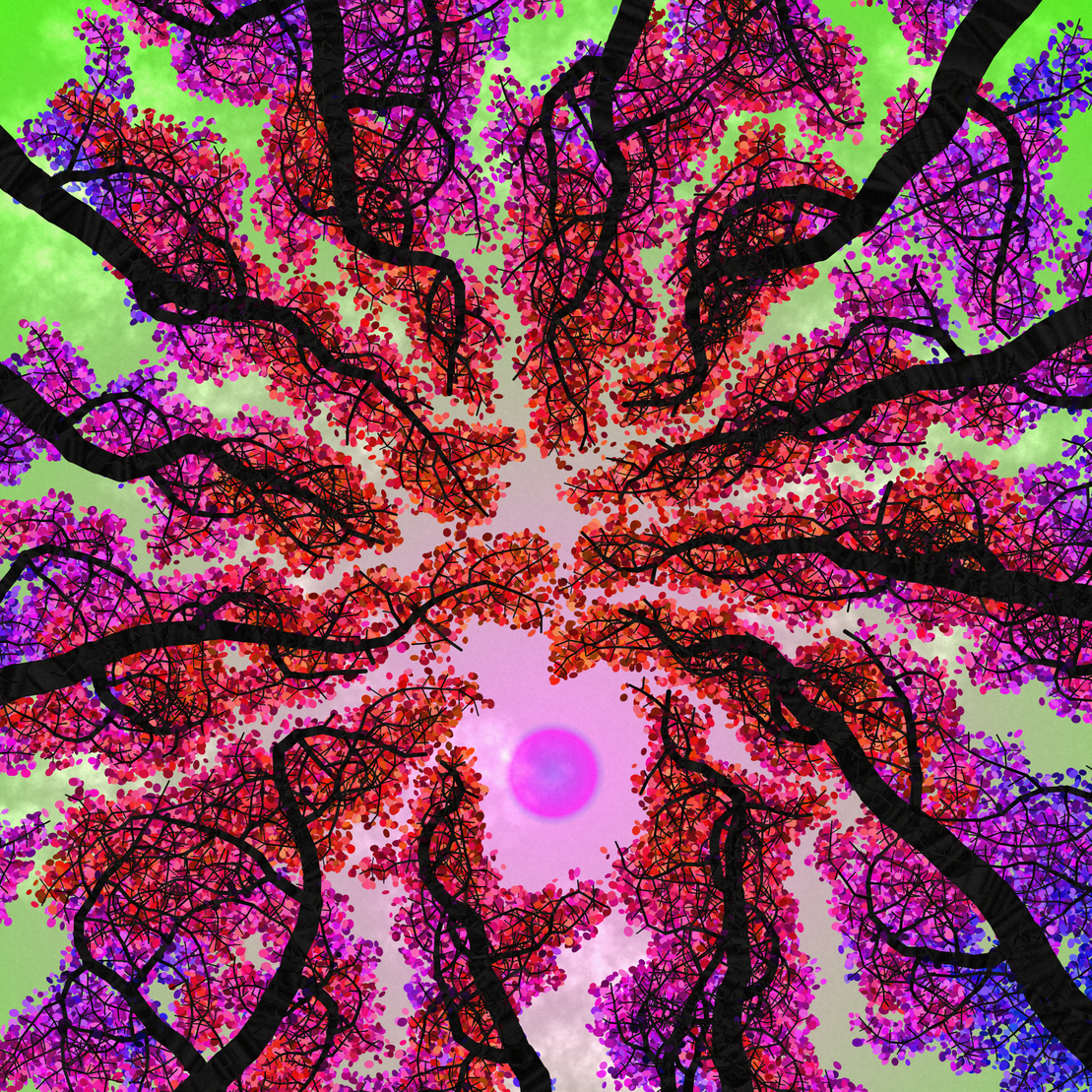 Tree Skyness #78