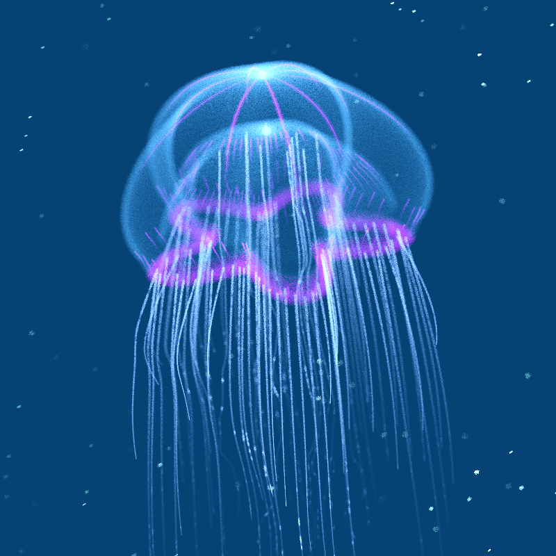 Creatures of the Deep #1 - The Jellyfish #23