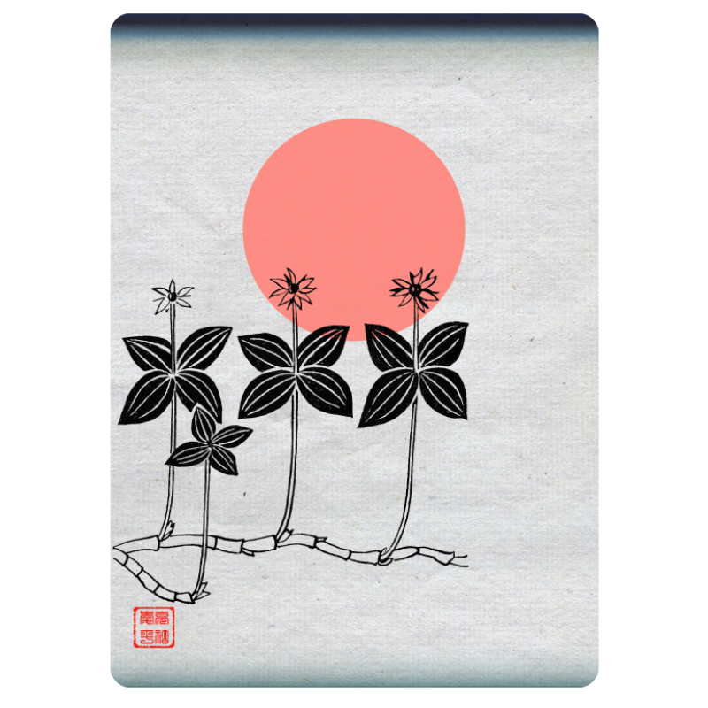 Zen flower card  #49