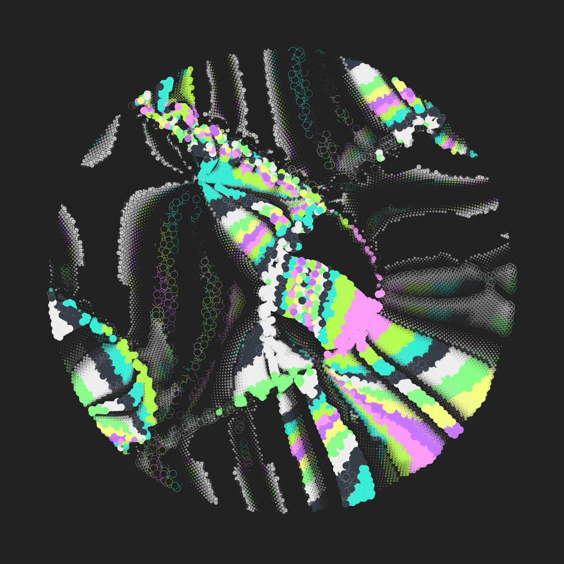 Still C #28840