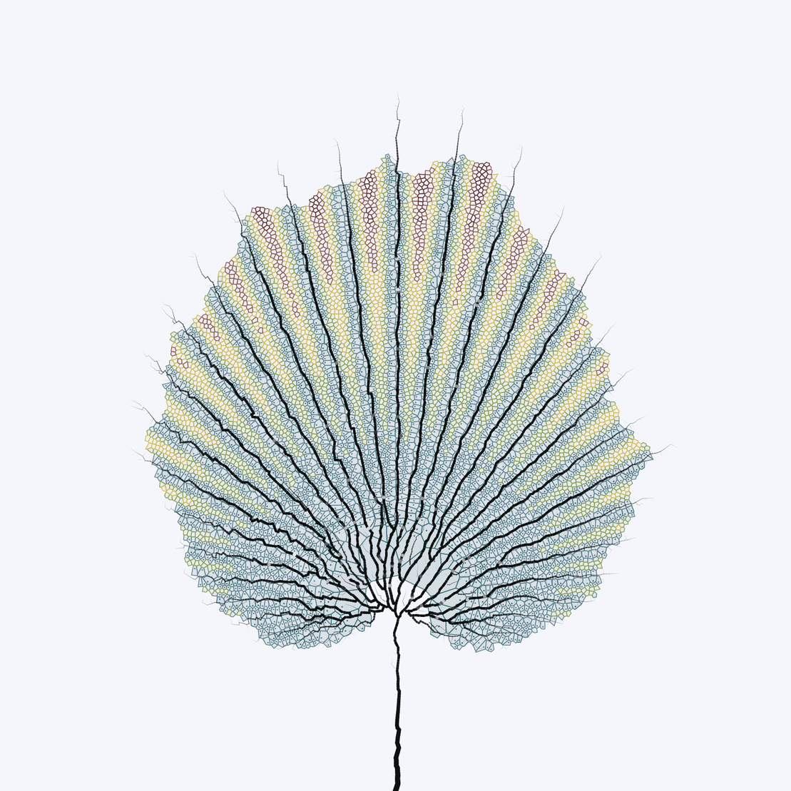 Leaf study #30