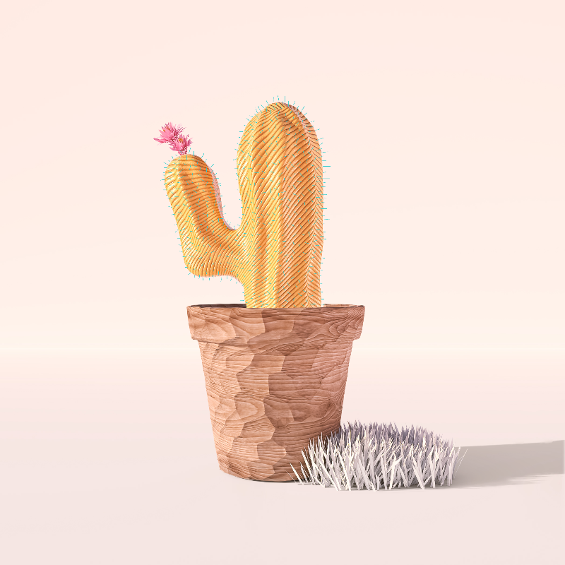 3D Crypto Cacti #2