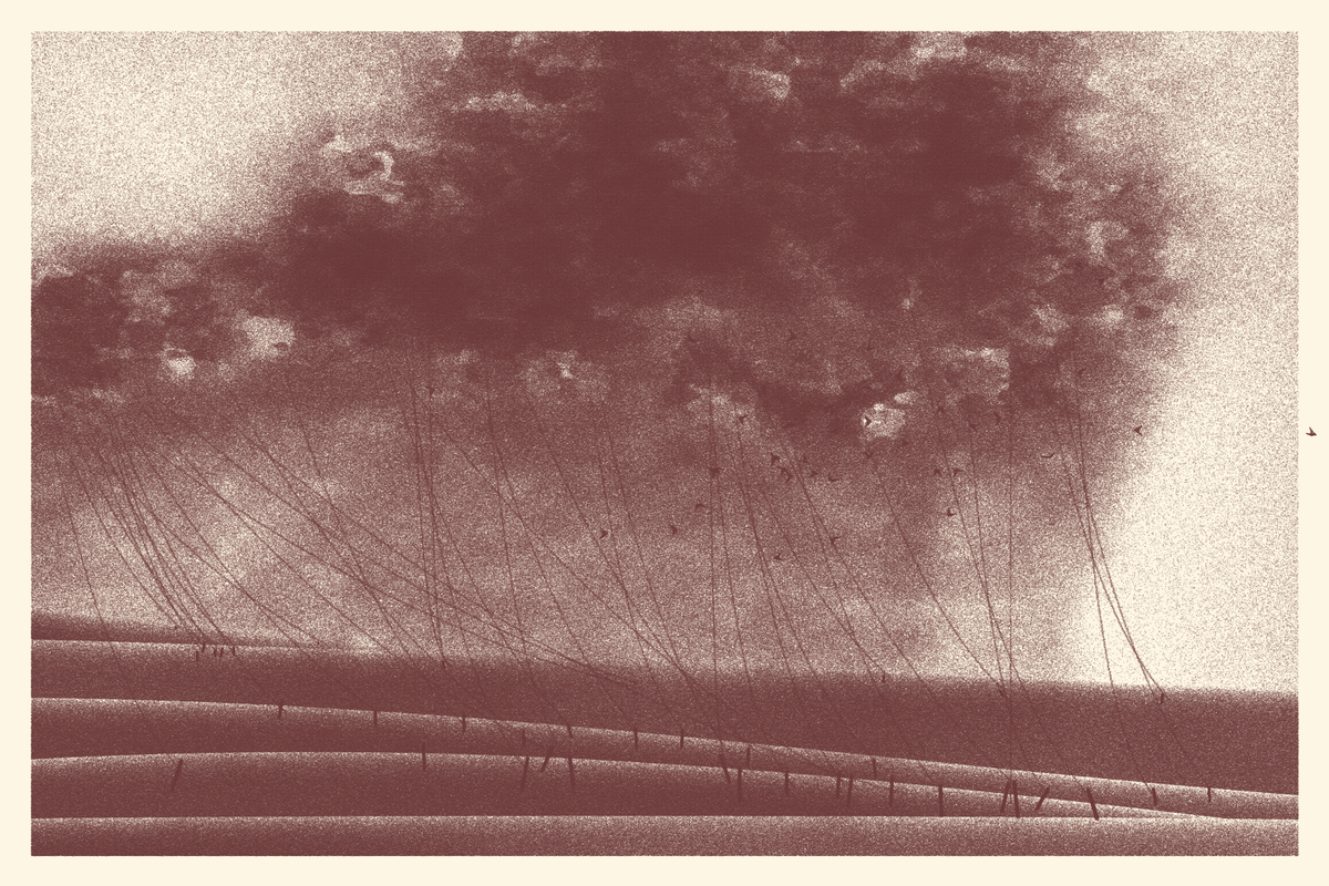 Cables and Clouds #195