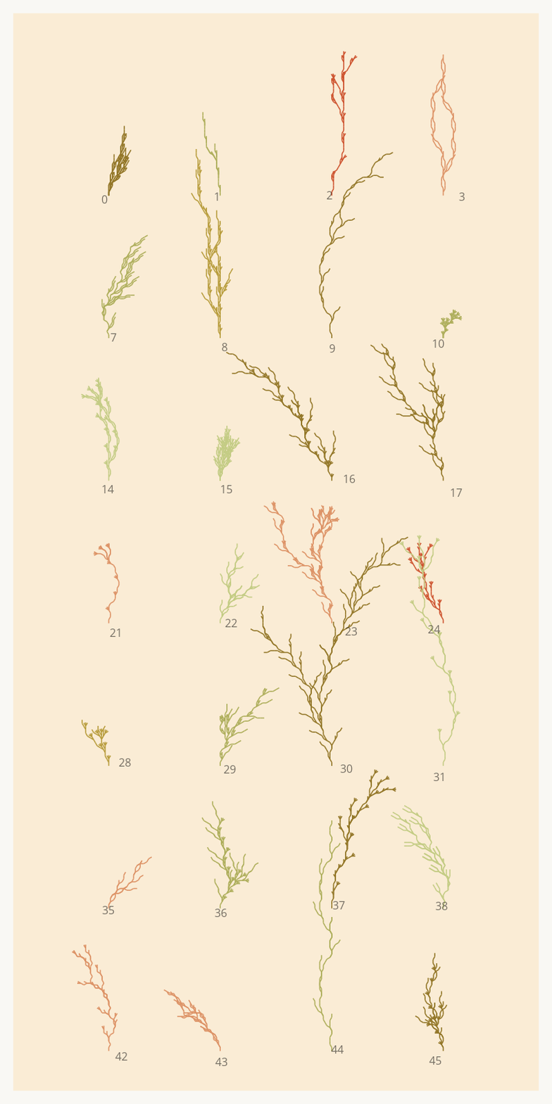 Seaweed Study #14