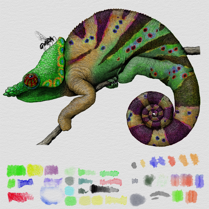 Colorful Cameleon