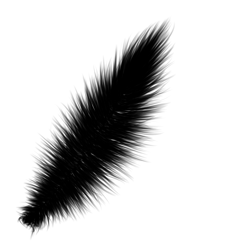 Random Feather #4