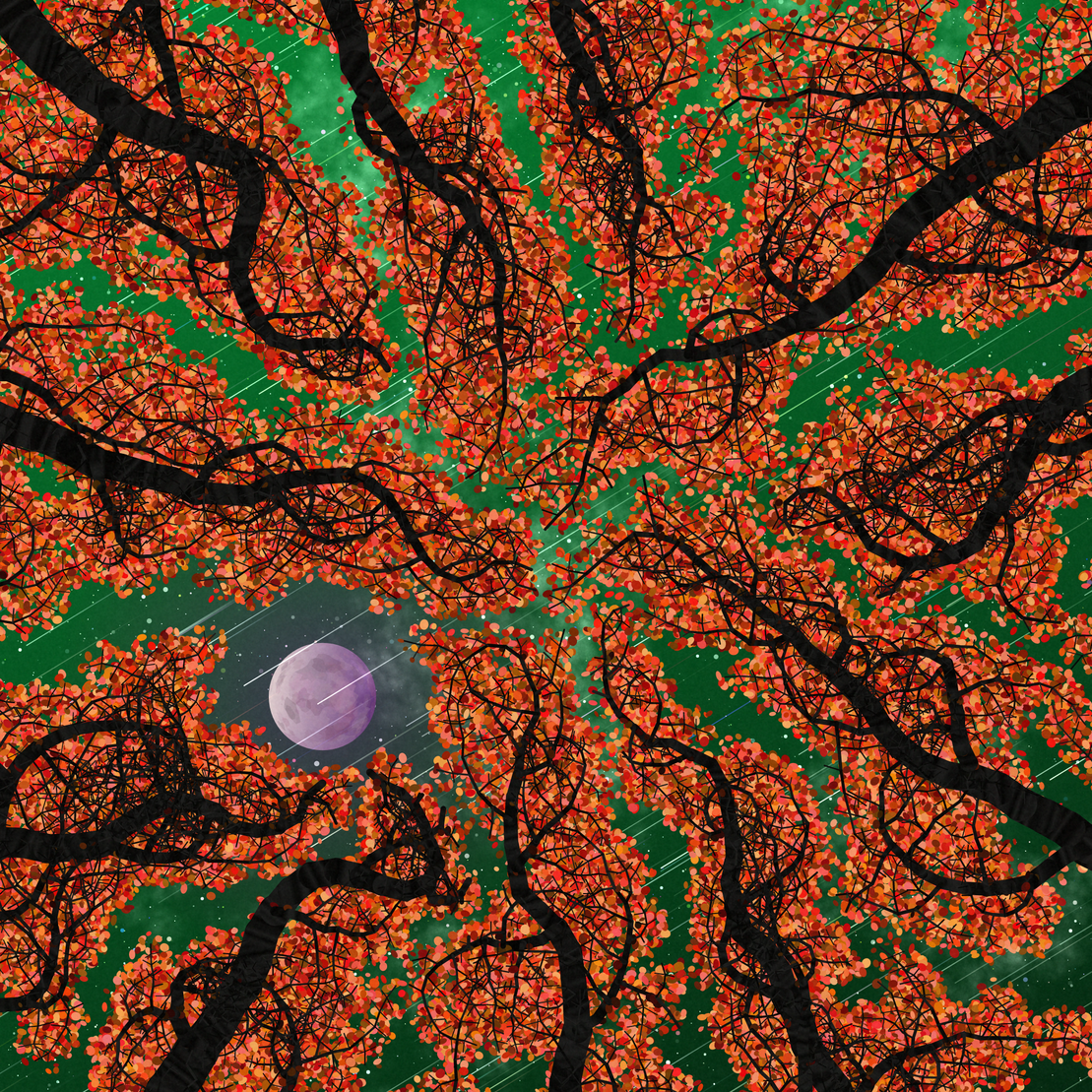 Tree Skyness #177