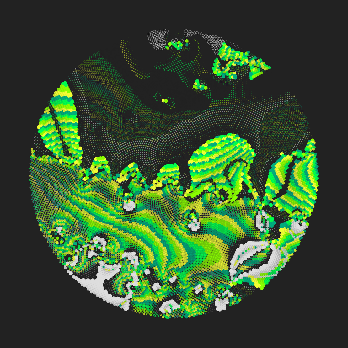 Still C #2995