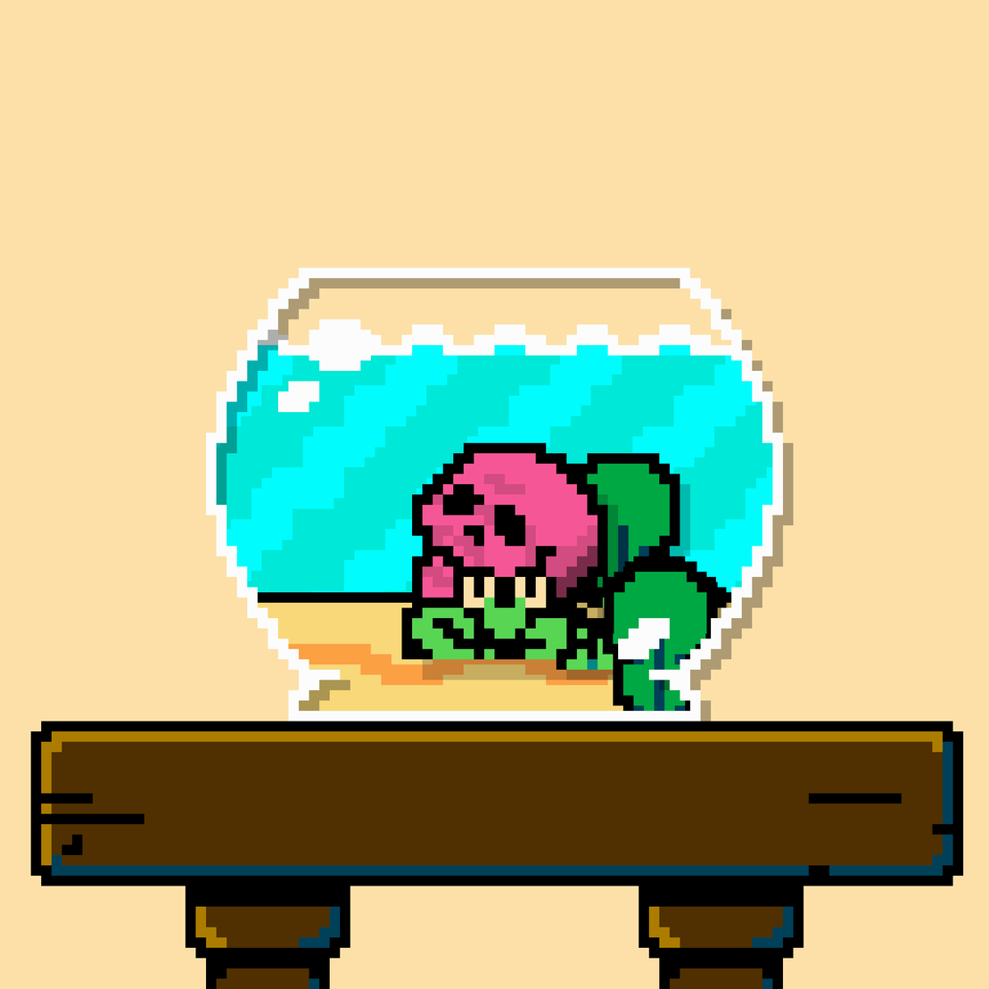 hermit crab #20