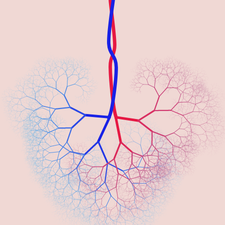 capillary trees #10