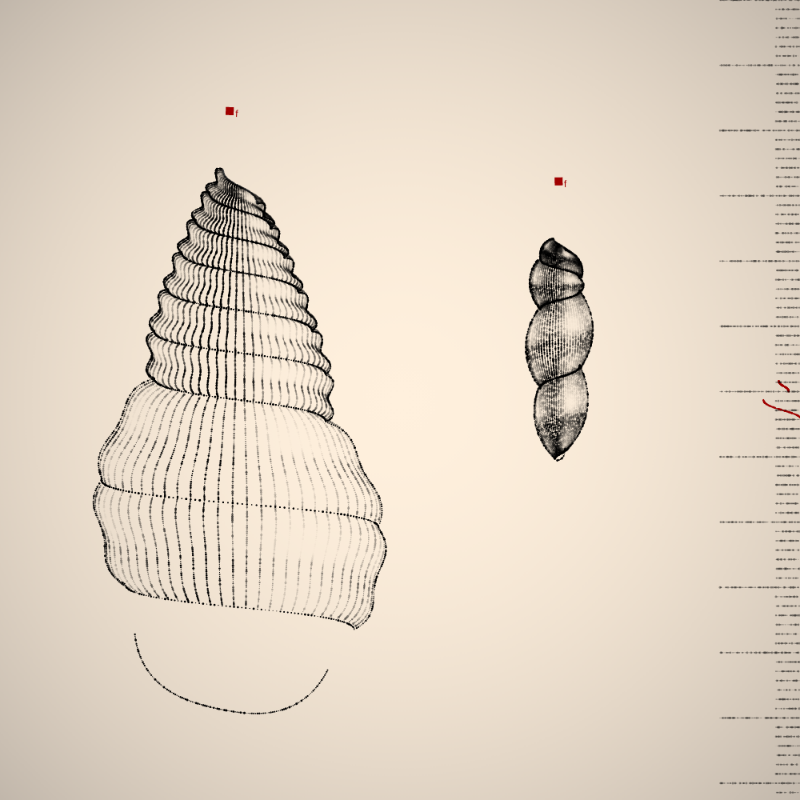 Two Specimen #166