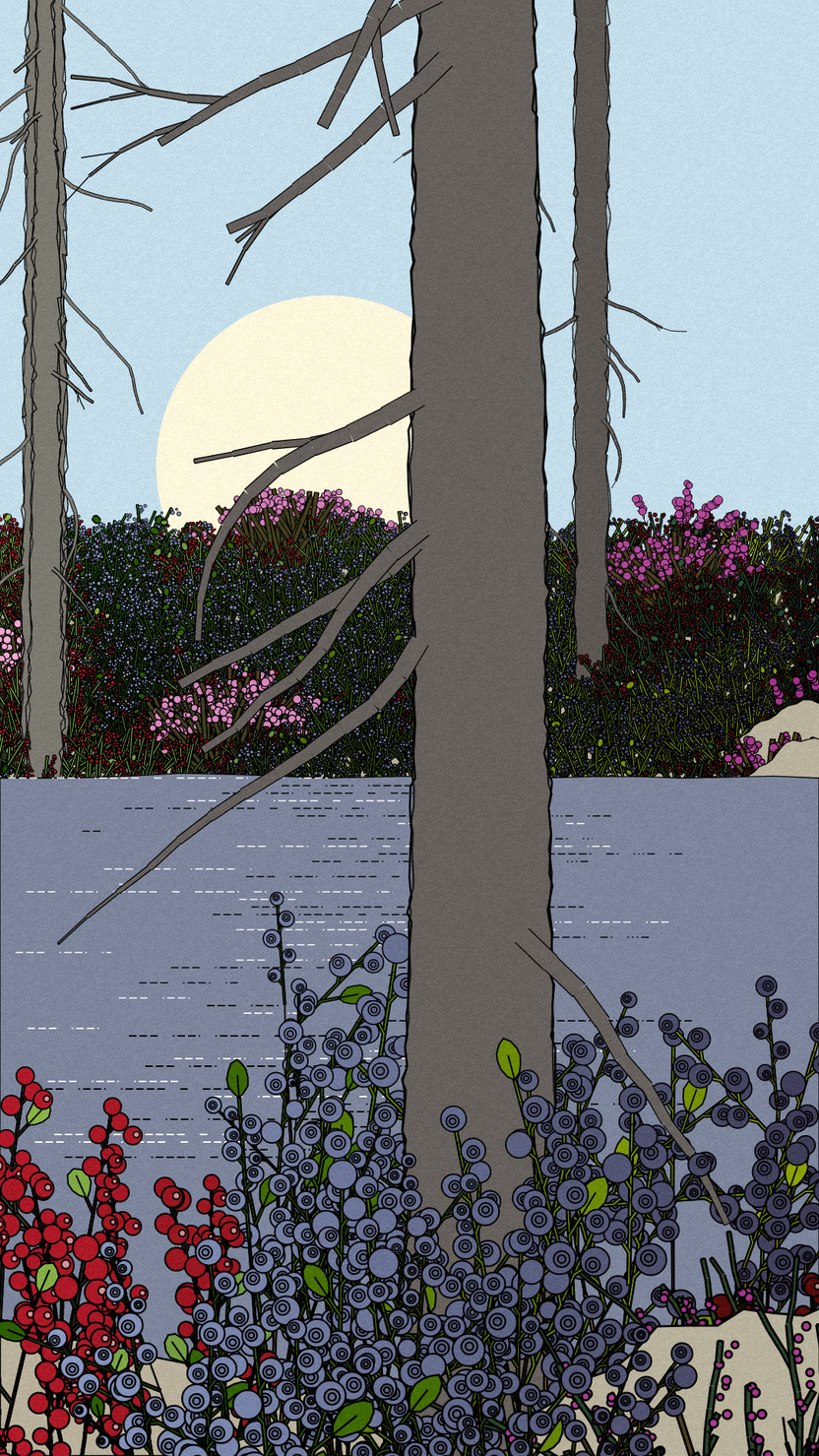 Swedish Forest #44