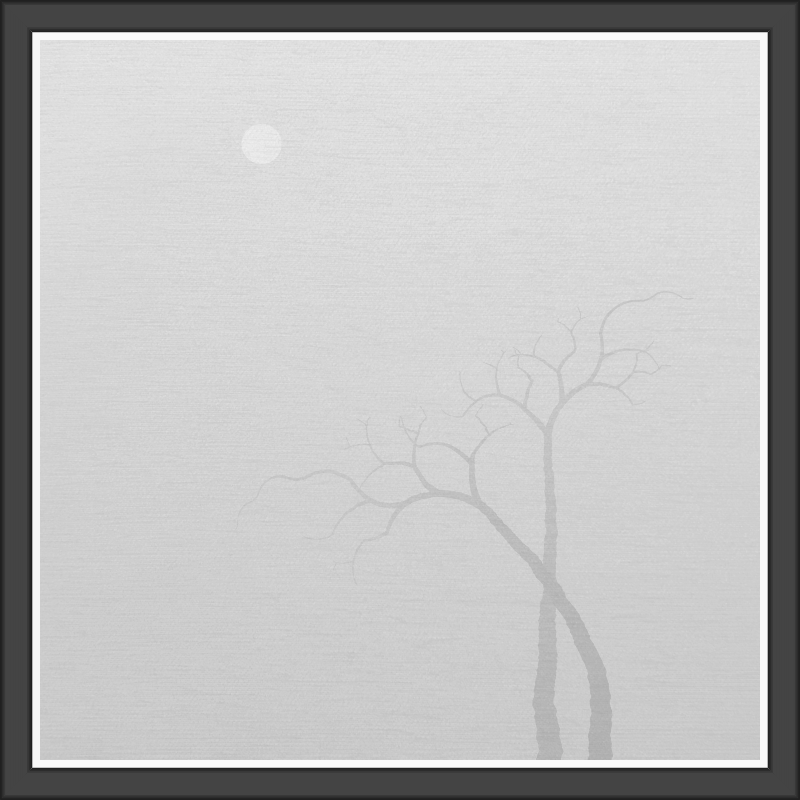 The Foggy Trees #41