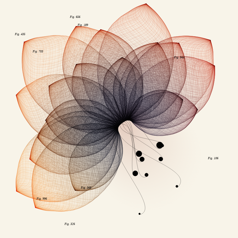 Herbarium #144