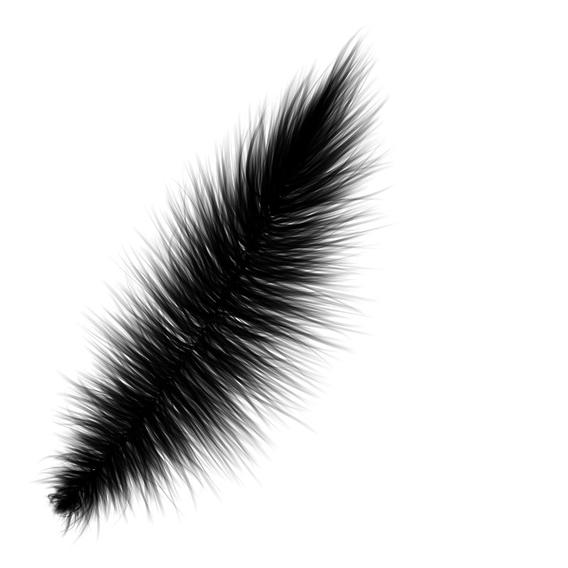 Random Feather