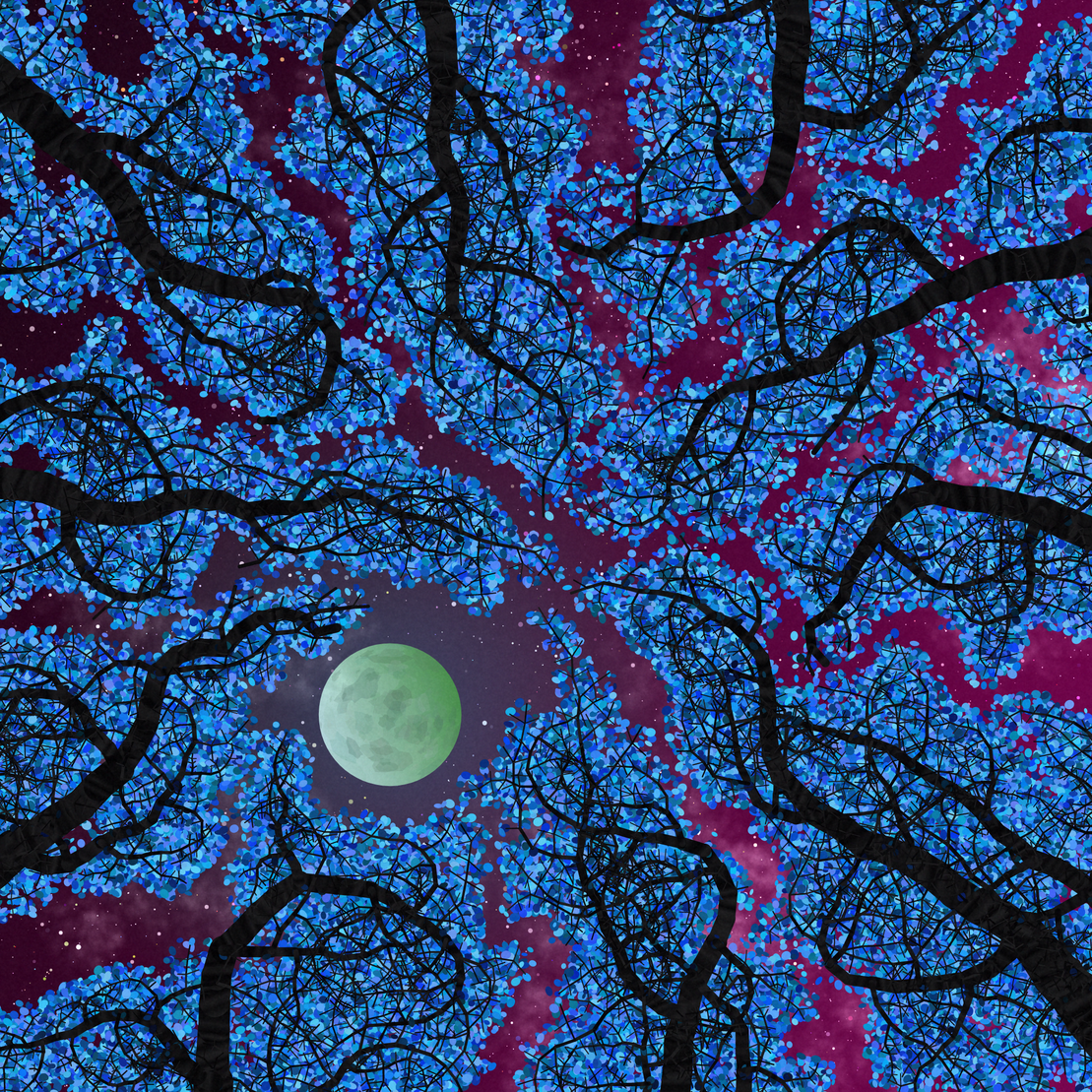 Tree Skyness #107