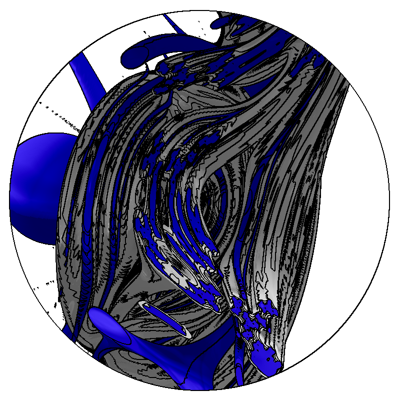 LL21 Anatomy #46