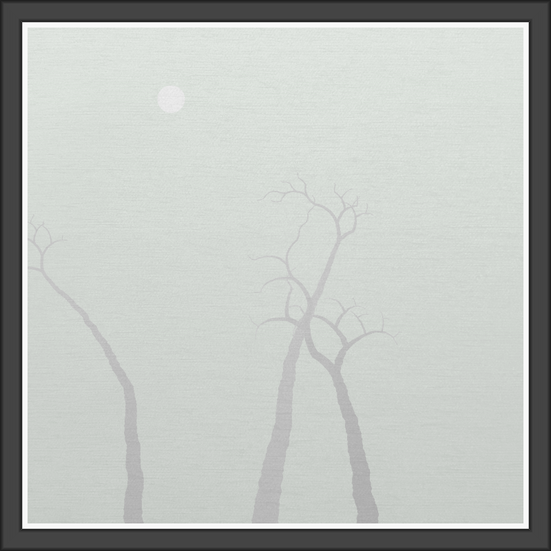 The Foggy Trees #105