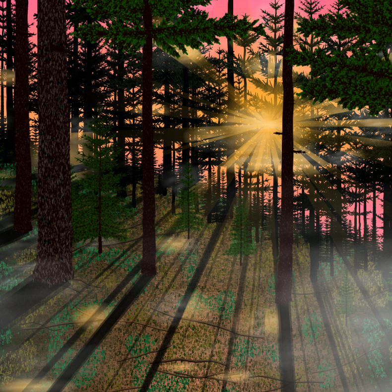 Forest Sunrise #4