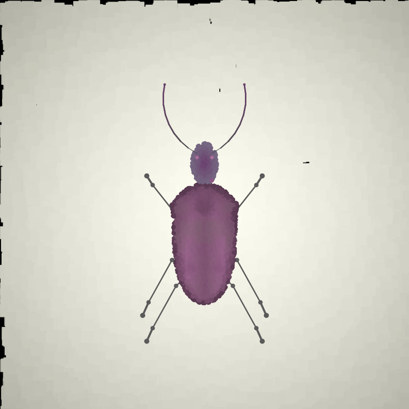 Beetle Sketches #23