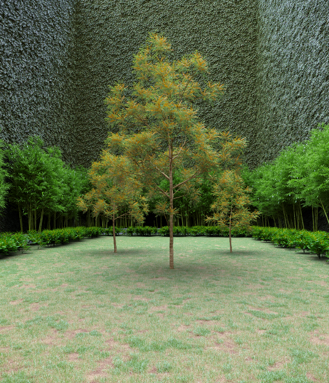 Garden of Imagination #29