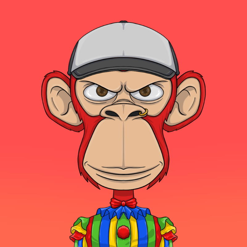 chimpantez #137