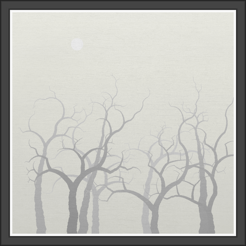 The Foggy Trees #24