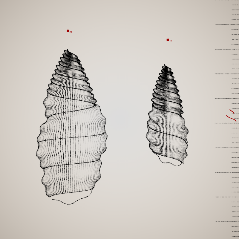 Two Specimen #120