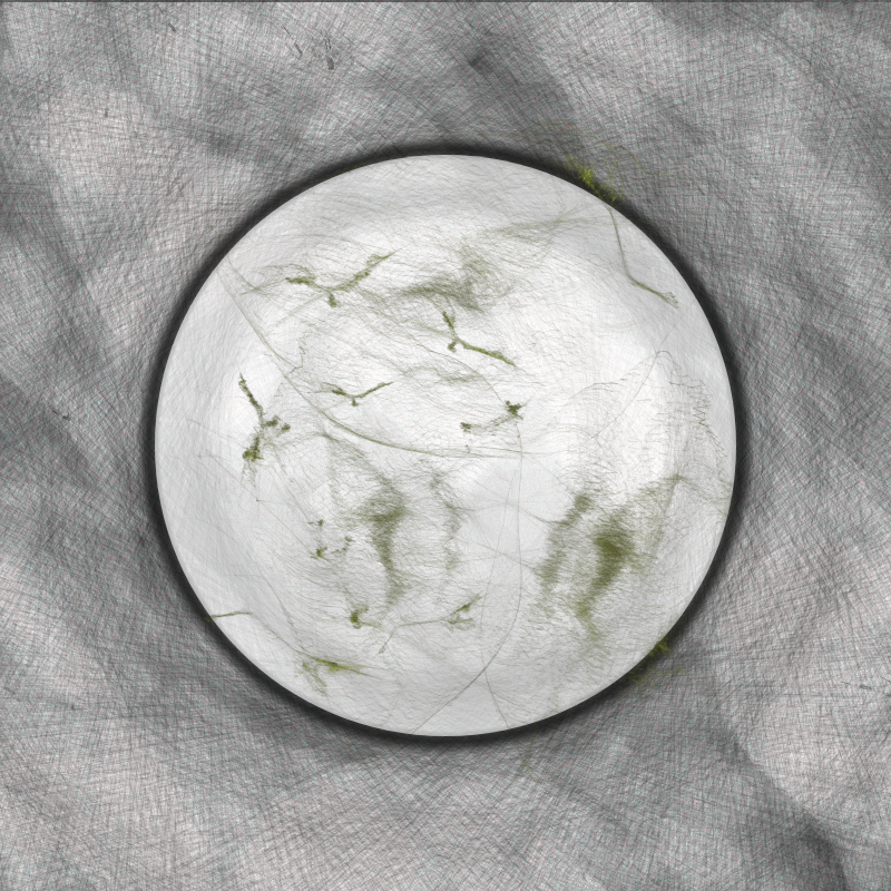 Herbarium Invaders #226