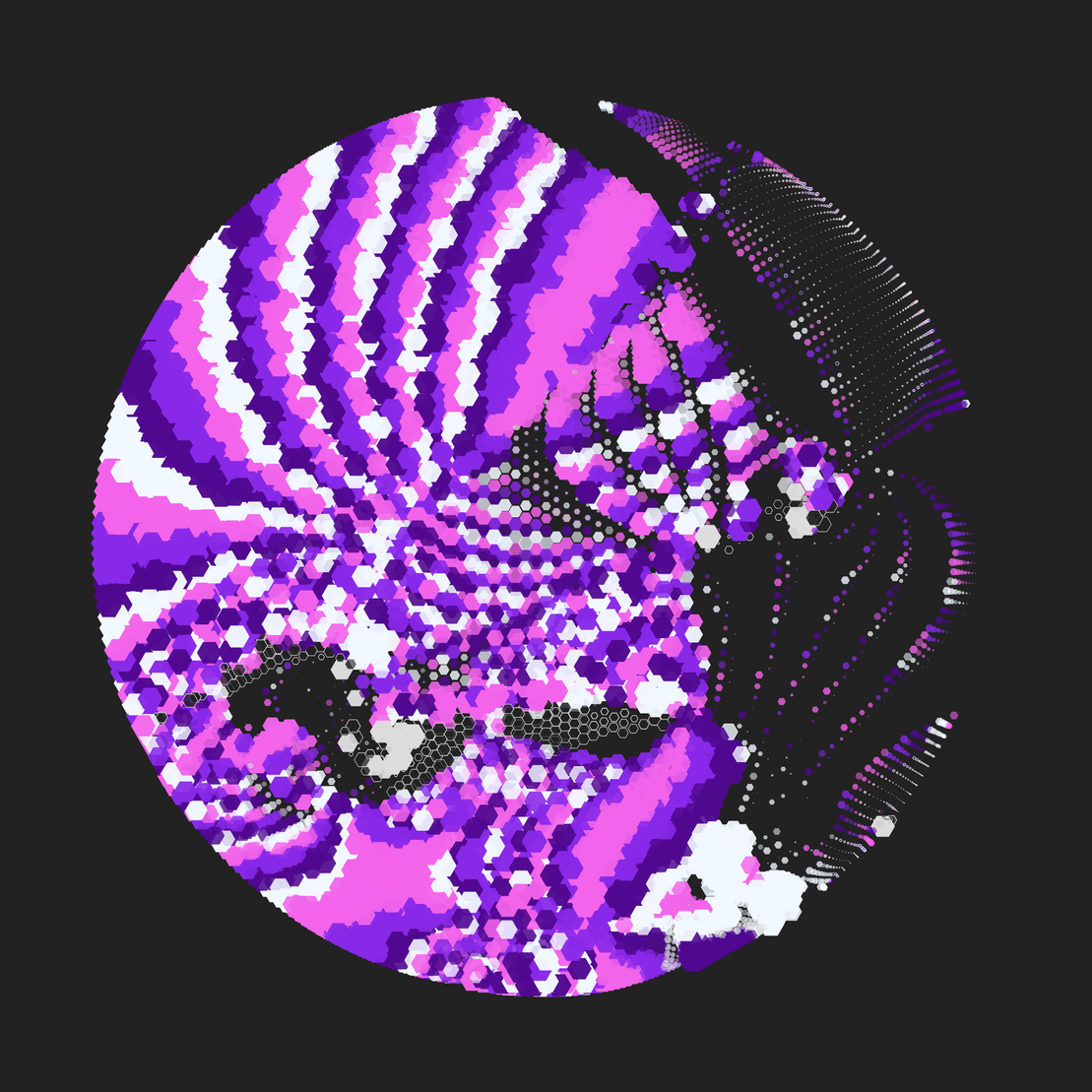 Still C #19064
