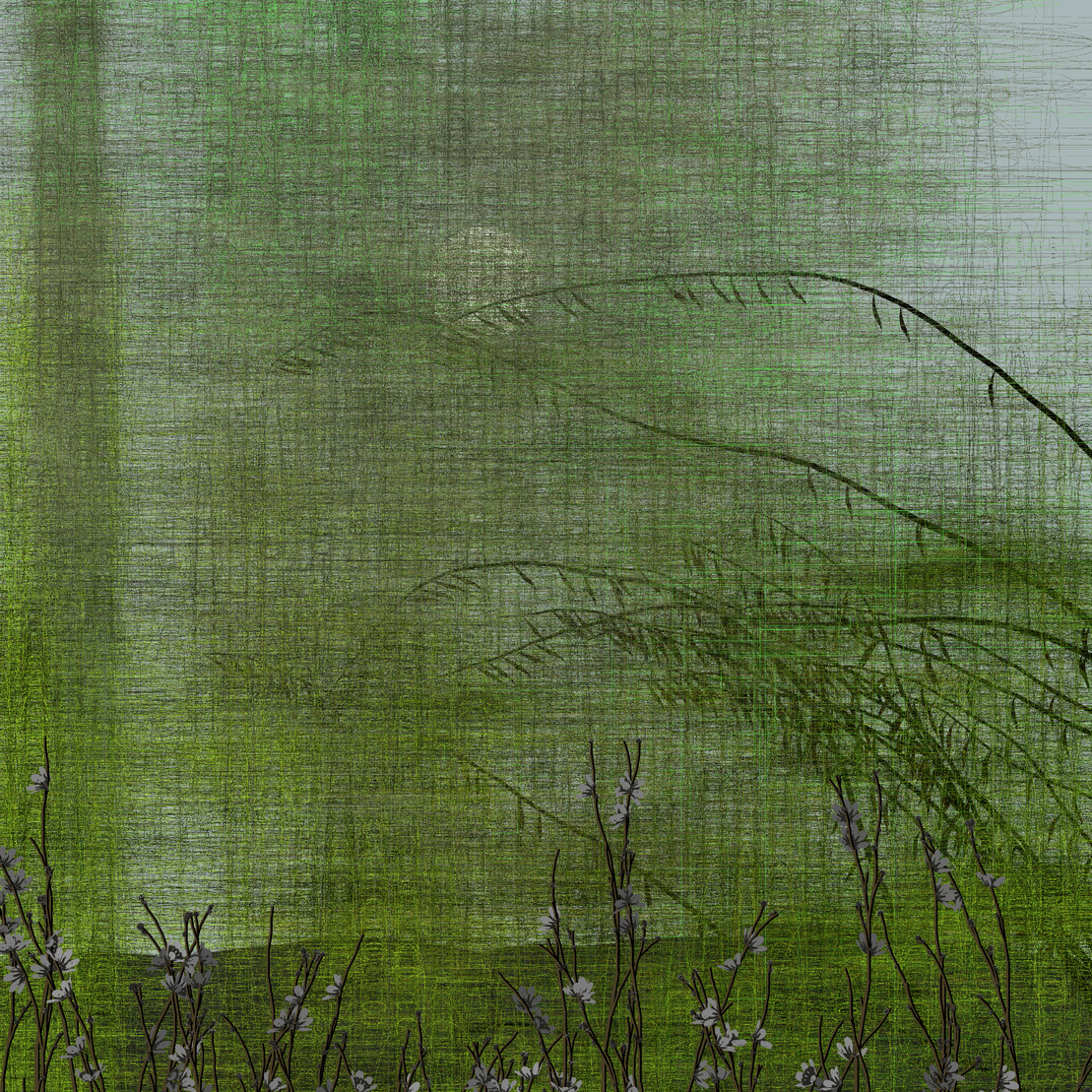 Echoes #61