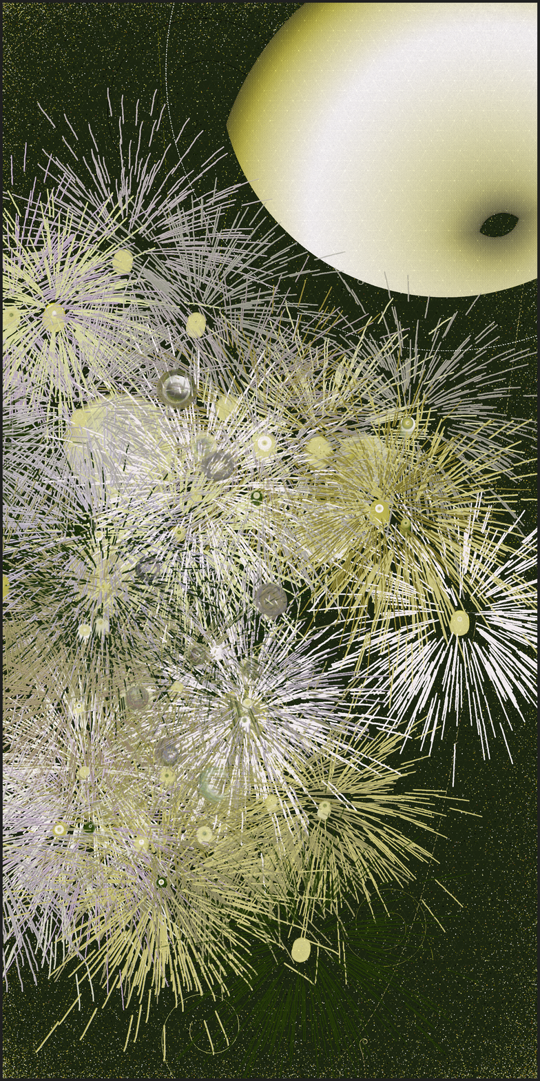 真夏の花火　Fireworks in Midsummer #37