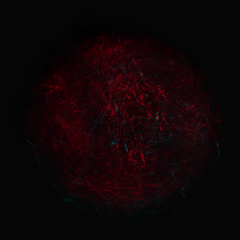 balls in vector fields #13