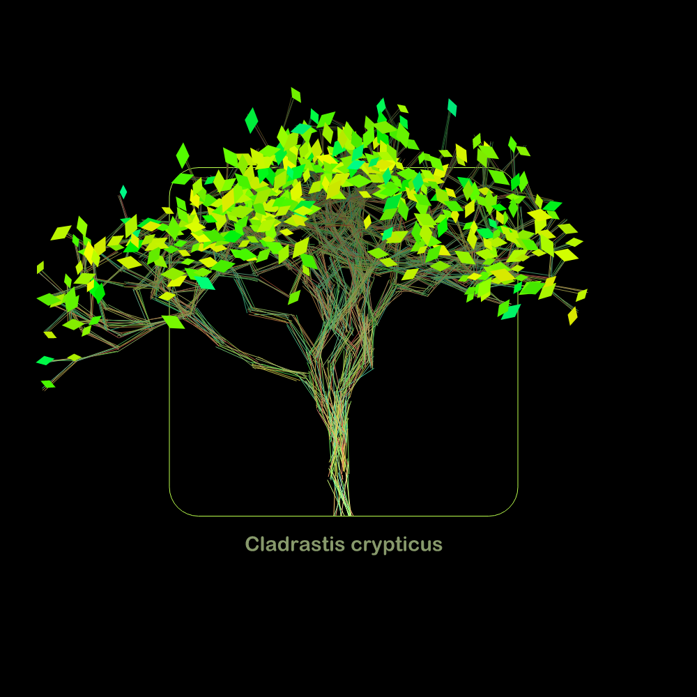 Fluidynamix - Trees #108