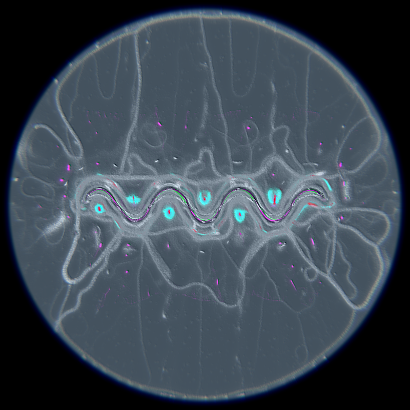 Ethereal Microcosm #259