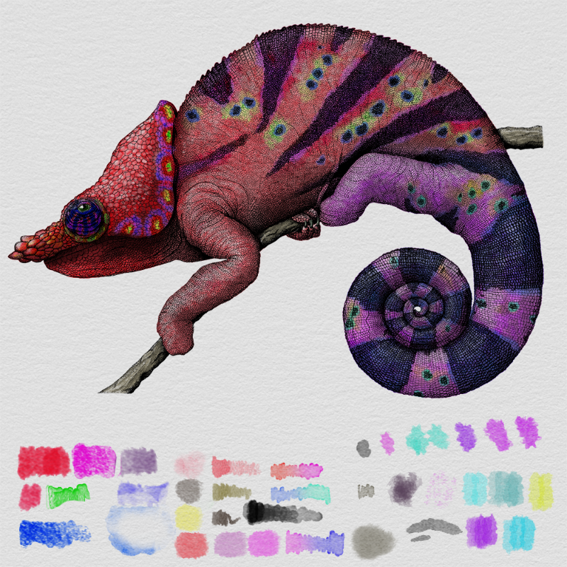 Colorful Cameleon #6