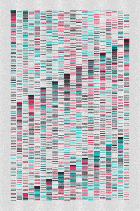 Sequence #46