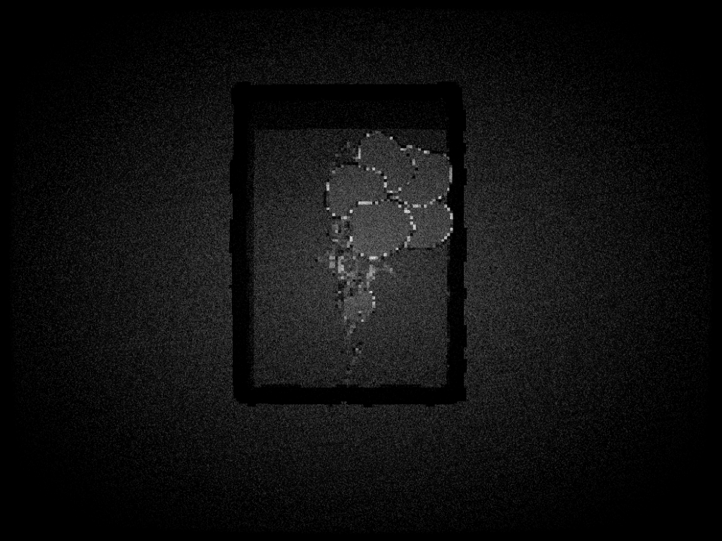 testing-premint #2