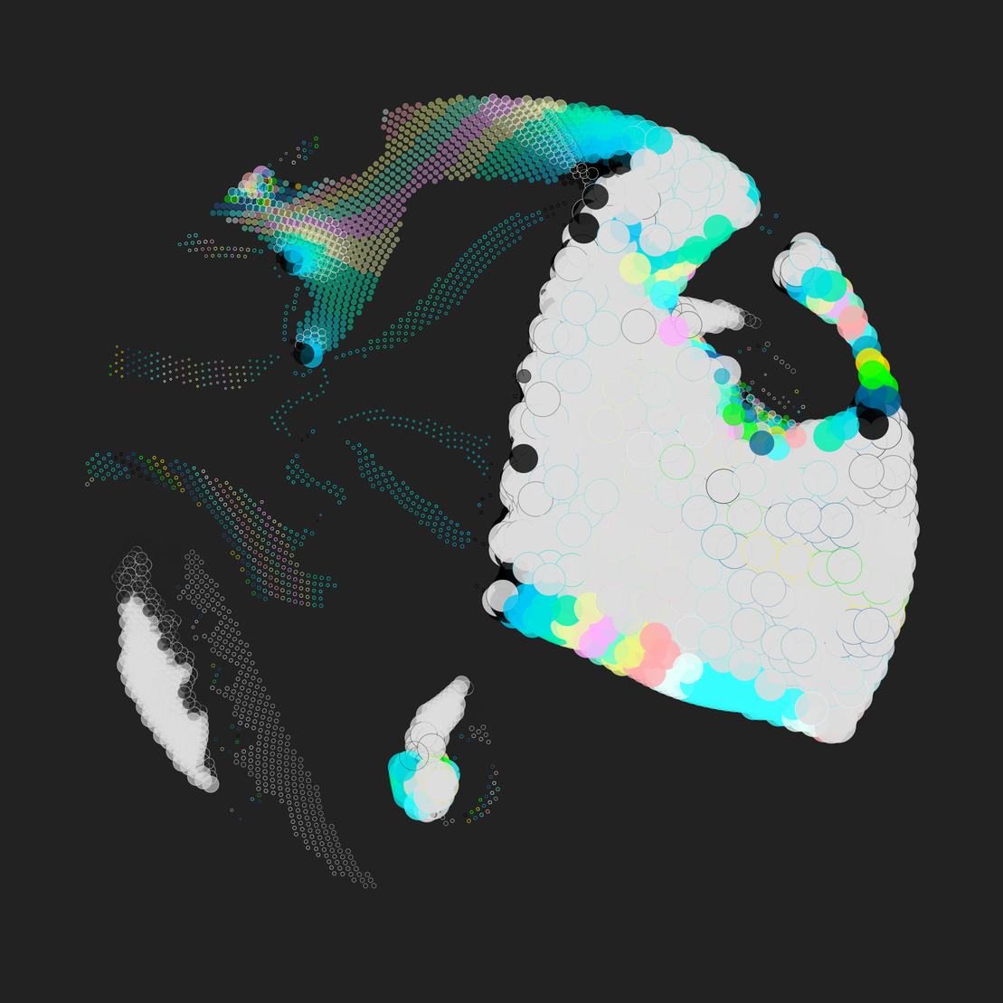 Still C #24970