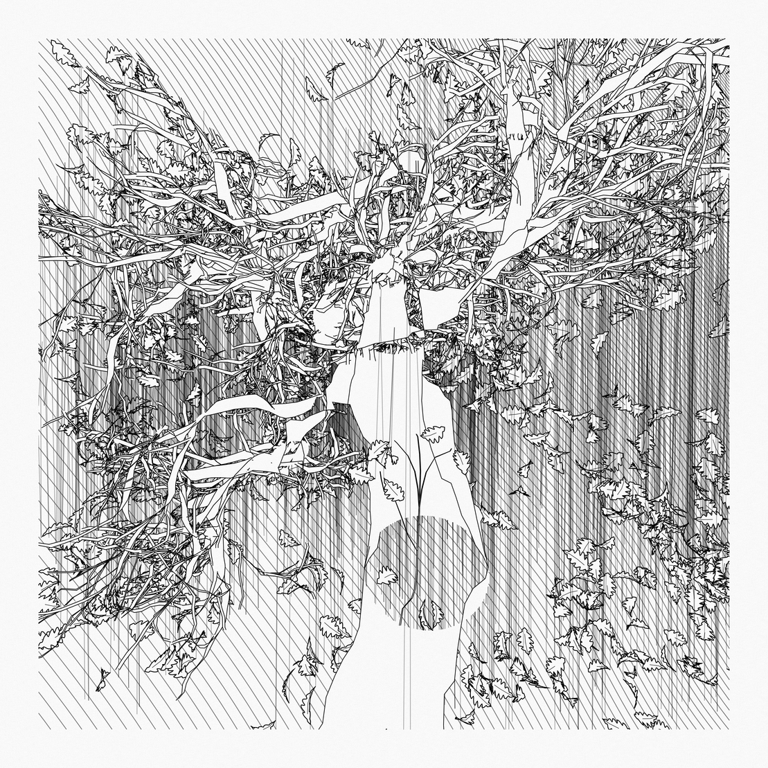 A Bugged Forest #607