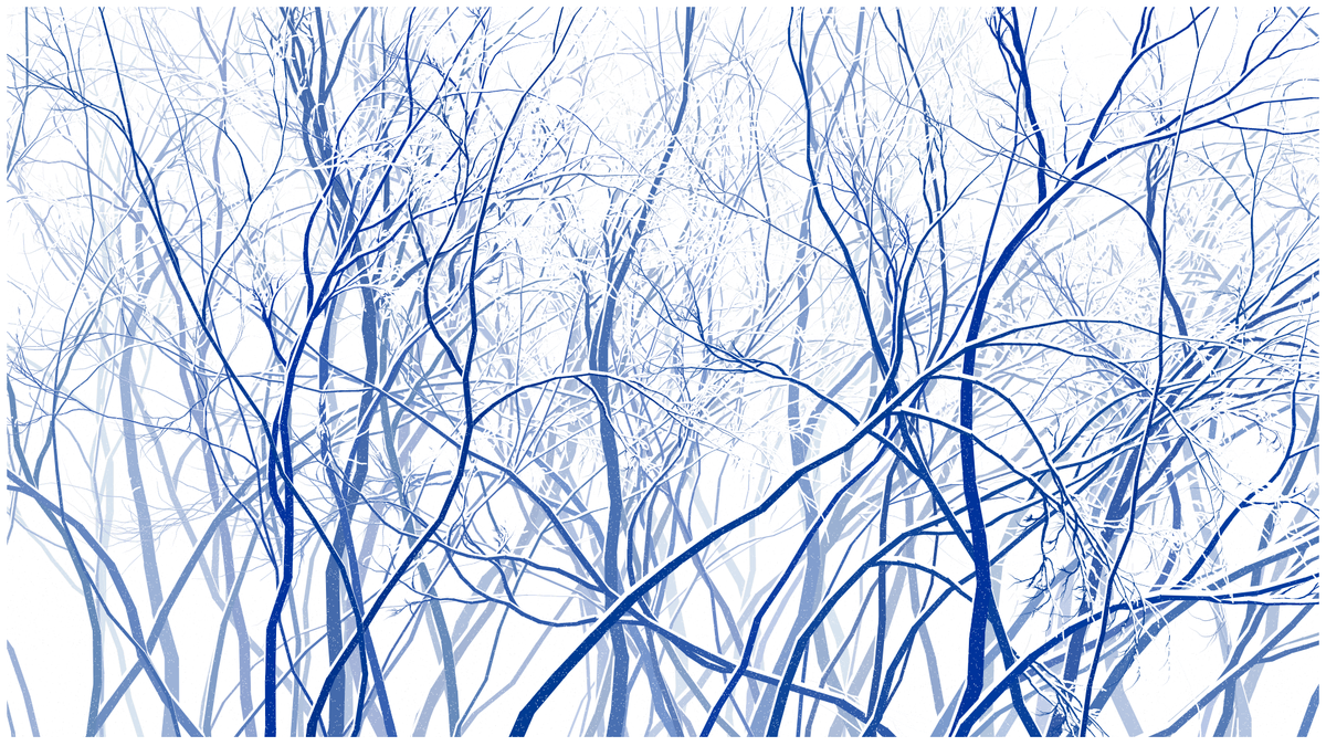 SCHNEEWALD #114
