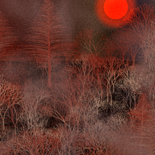 Moonlit Native Bush #6