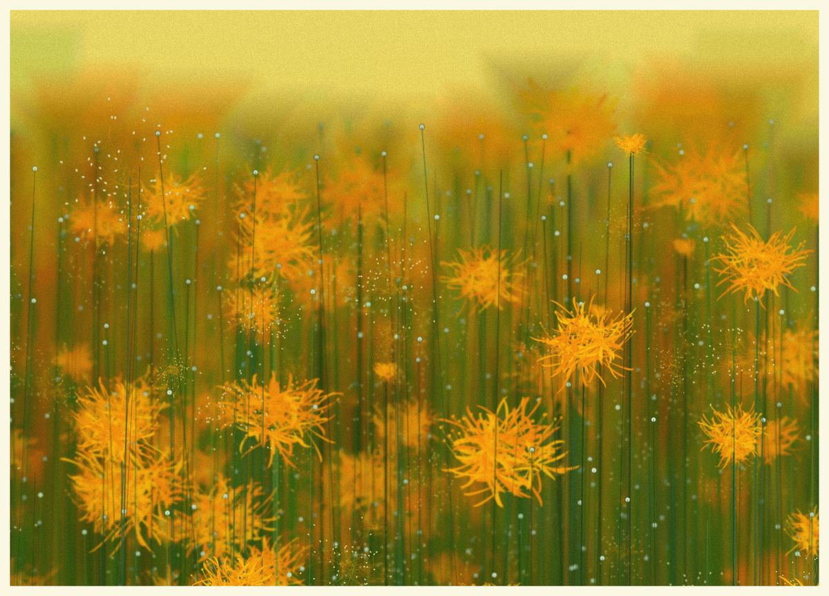 Serene Garden #138