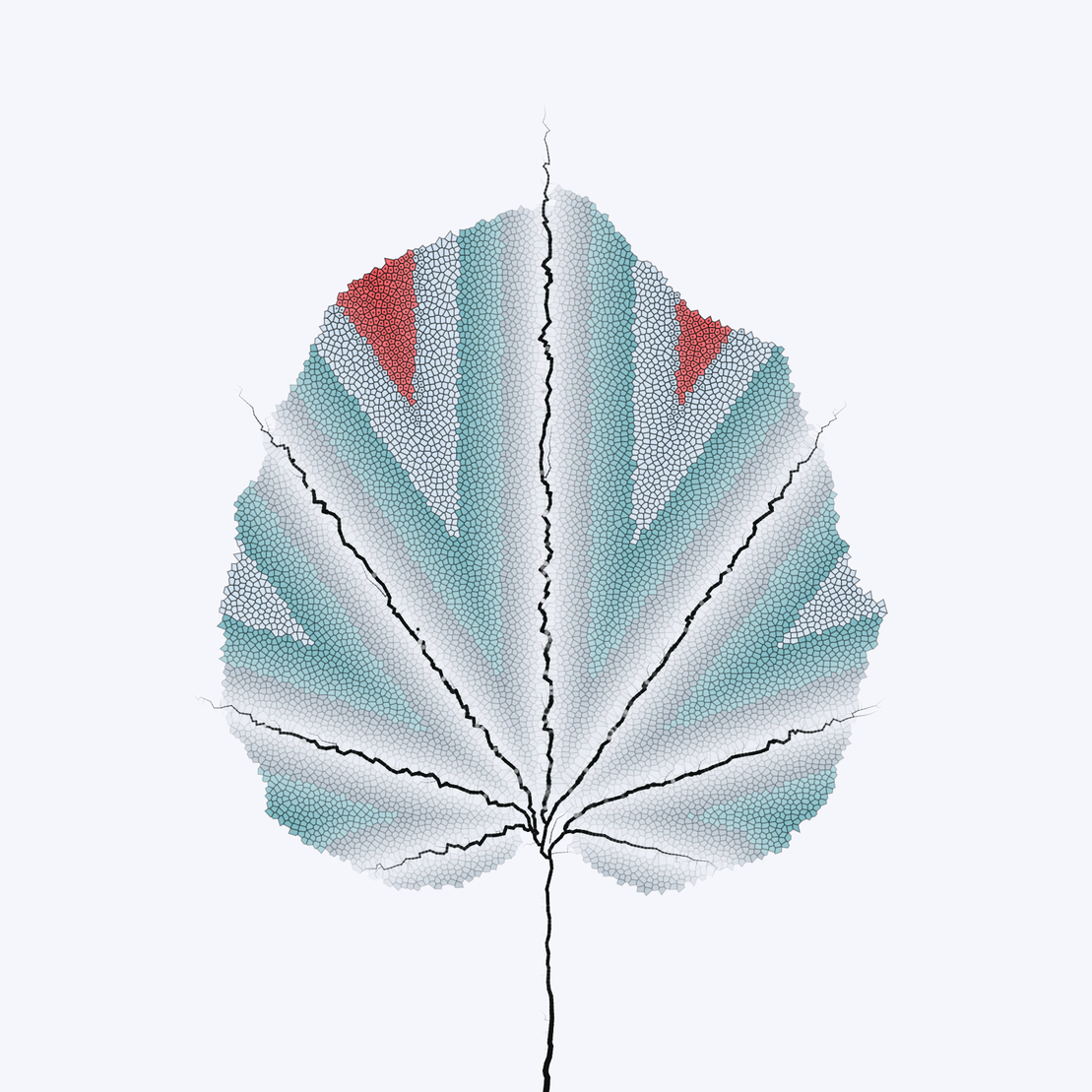 Leaf study #27