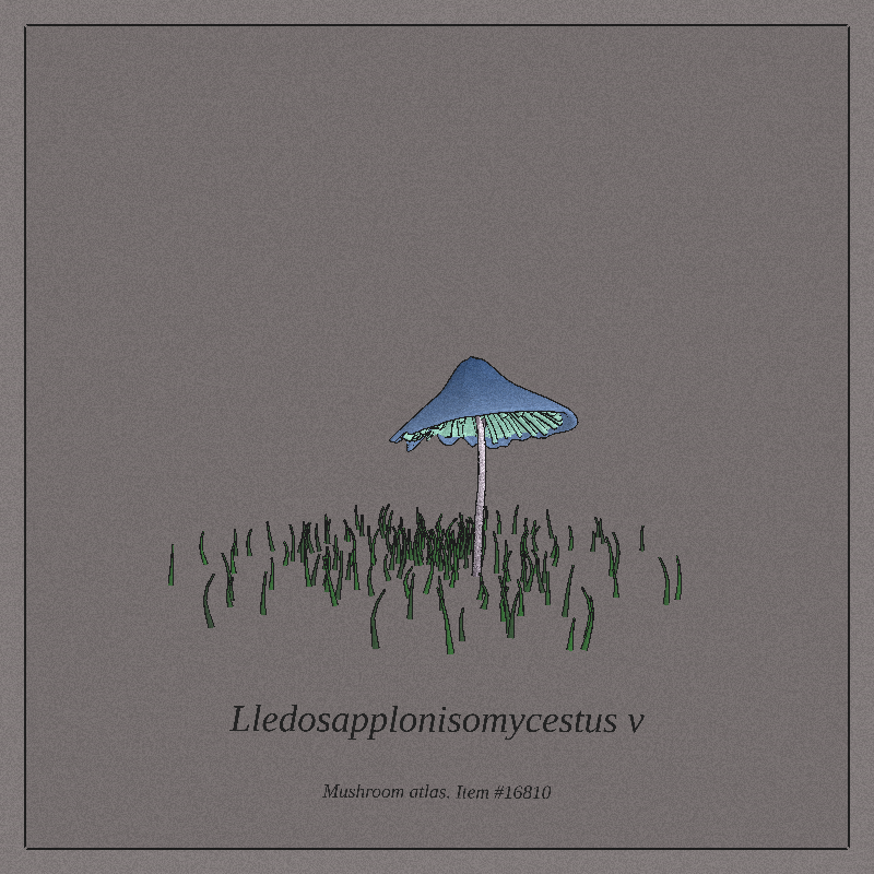 Mushroom Atlas #10