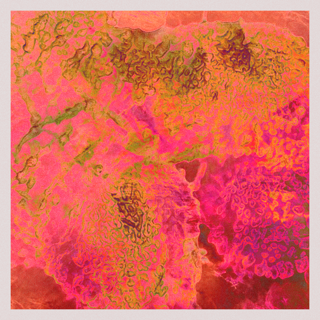 orGANics #7