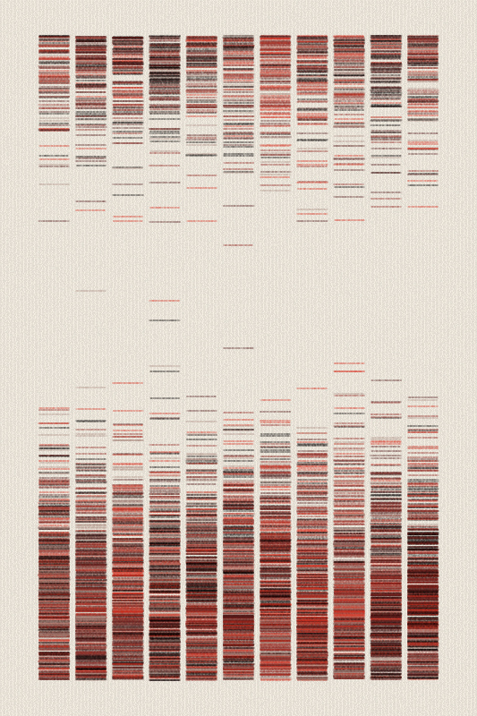 Sequence #405